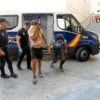 Arrestan 20 narcos dominicanos en Palma de Mallorca