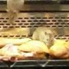 Ratas en el mostrador de una panadería Granier en Pueblo Nuevo