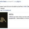 Ania es la peruana que apadrina Alejandro Sanz y que comparan con Rihanna