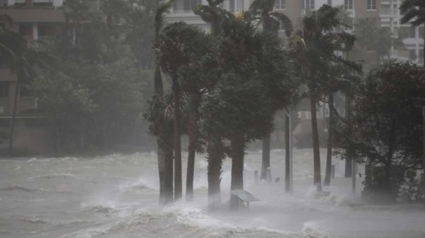 Aseguradoras de Miami tendrán que pagar más de 20 mil millones de dólares por Irma